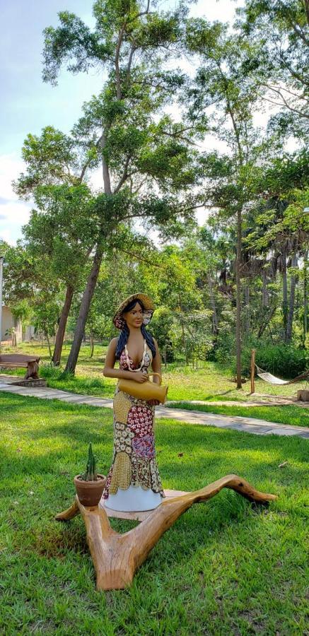 Pousada Recanto Dos Passaros Balsas Exterior foto