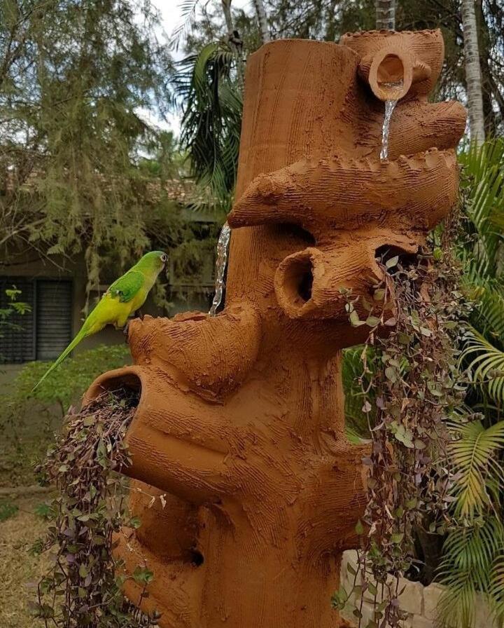 Pousada Recanto Dos Passaros Balsas Exterior foto